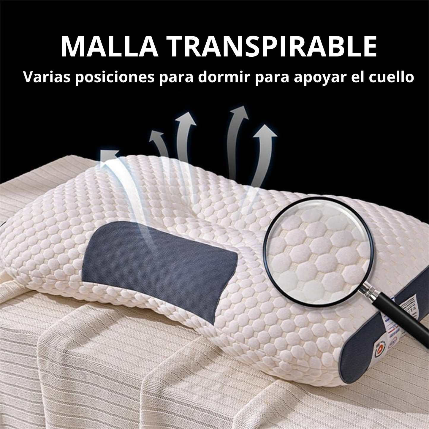 NecKarelia - Duerme sin dolor, despierta bien.